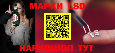 прущие грибы Усть-Джегута