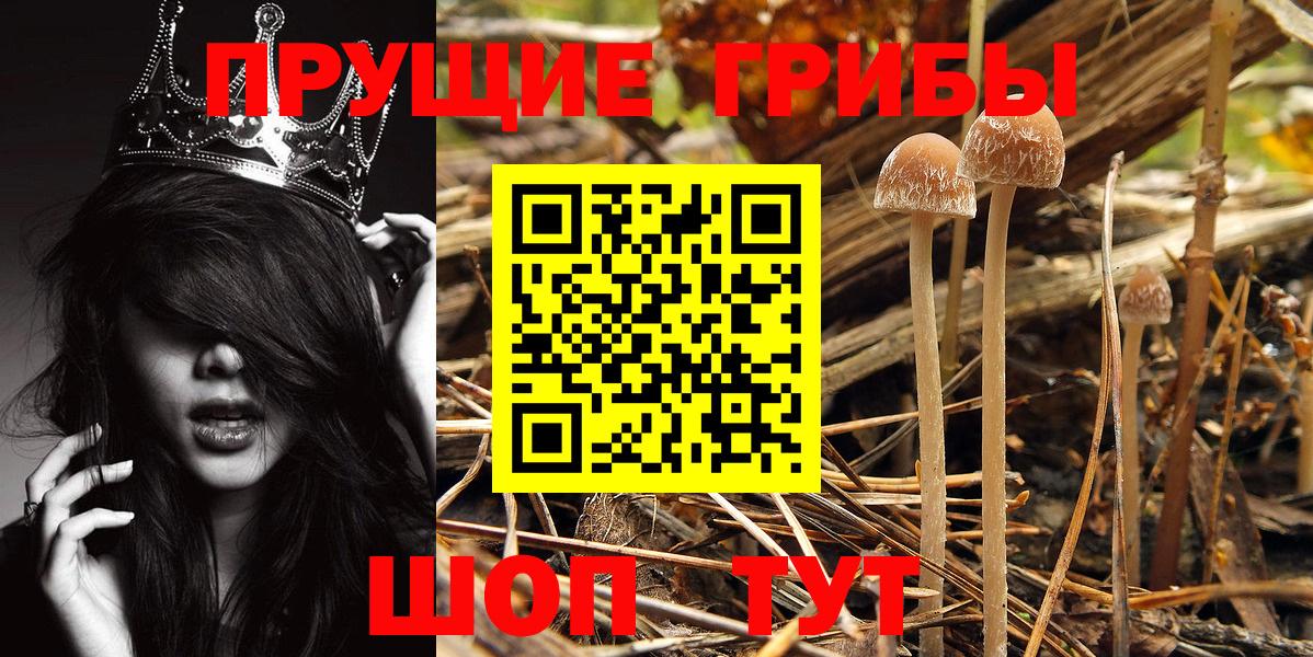 Псилоцибиновые грибы мухоморы Краснодар