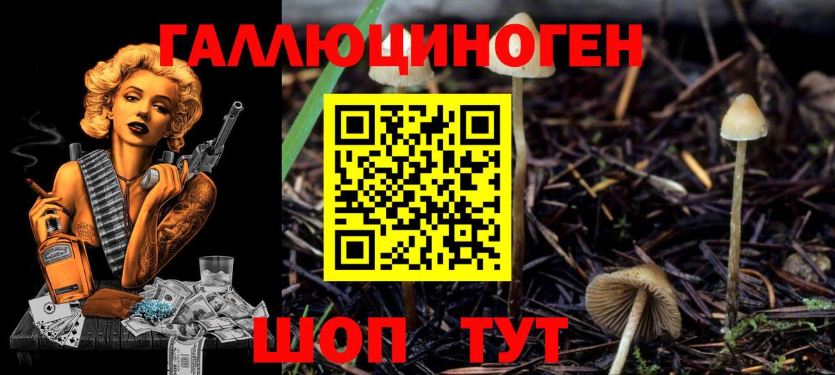 Псилоцибиновые грибы мицелий  Вход с VPN  Краснодар 